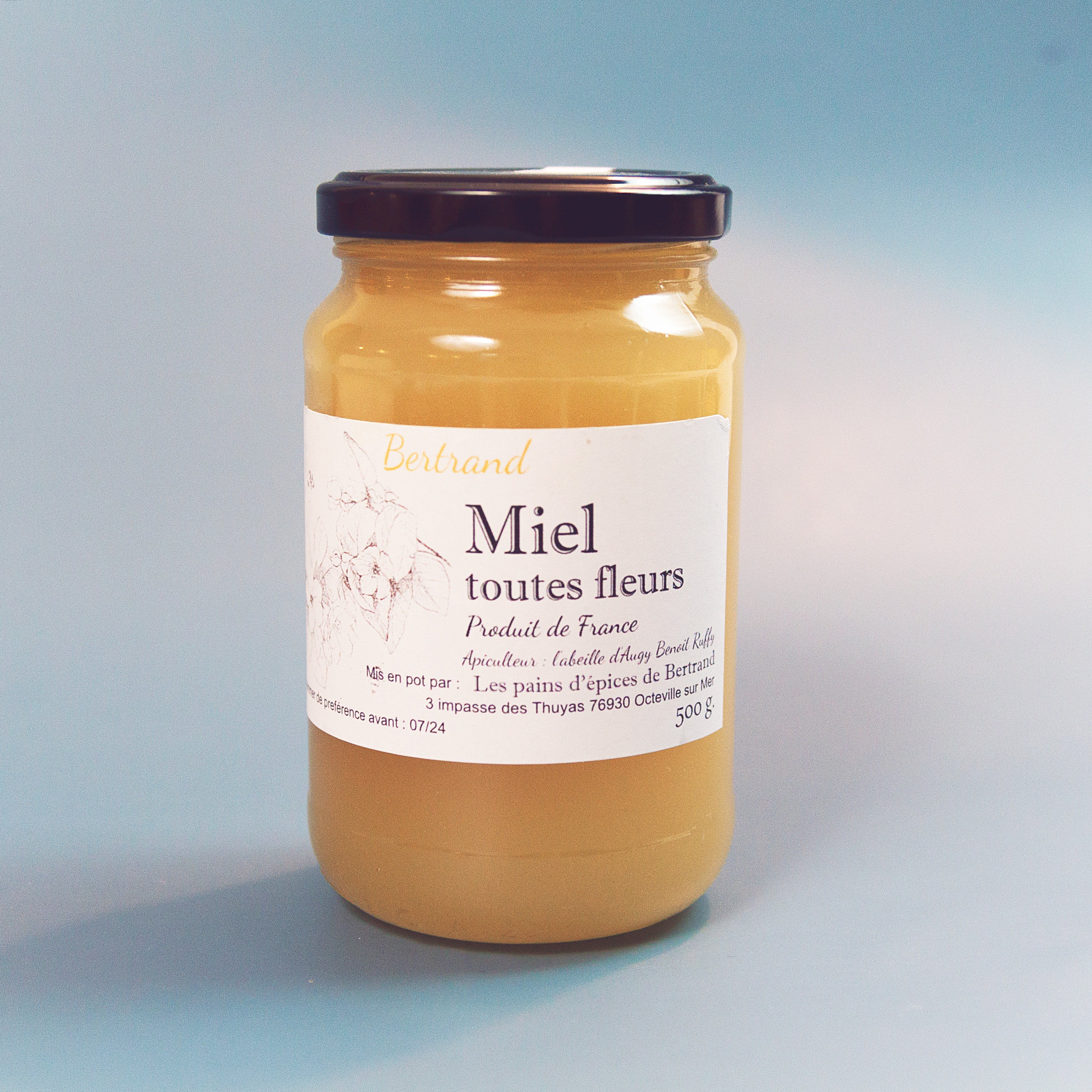 French Honey (All Flowers of France) - Miel toutes fleurs de France