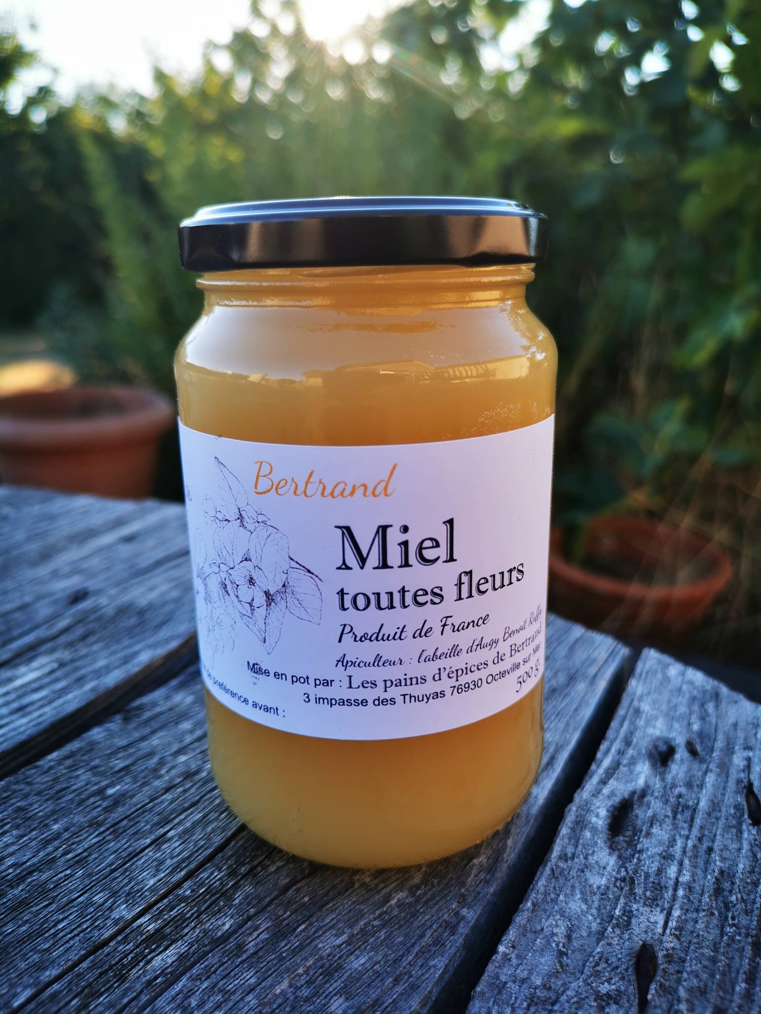 French Honey All Flower Miel toutes fleurs.